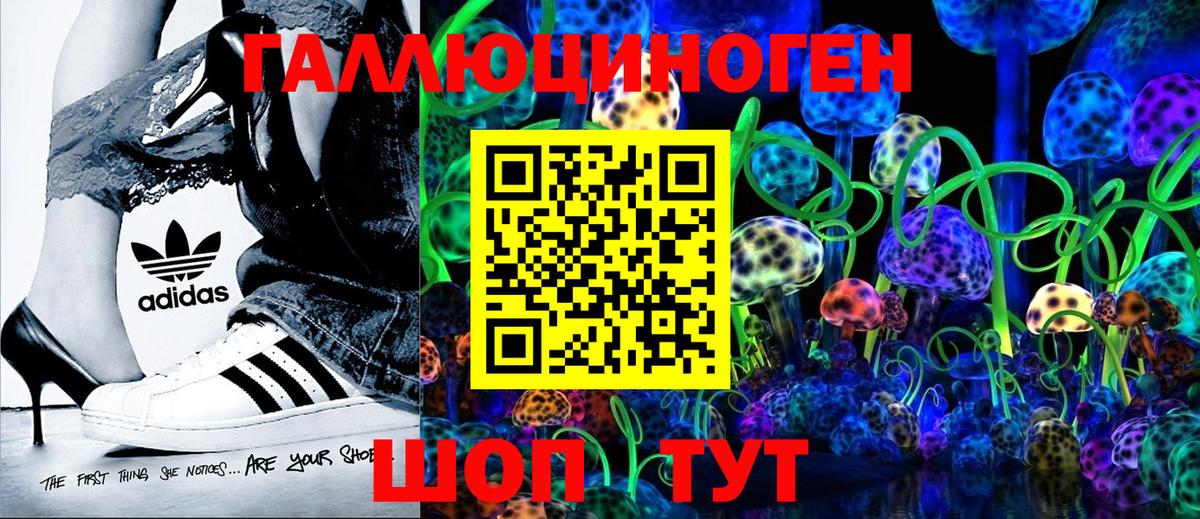 купить наркоту  Вход с VPN  Котельники  Галлюциногенные грибы MAGIC MUSHROOMS 