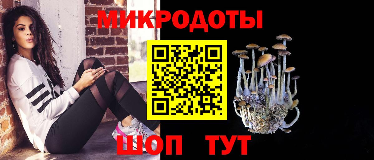 Псилоцибиновые грибы Psilocybe Котельники